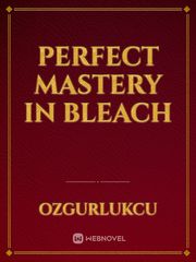 Perfect Mastery in Bleach Book