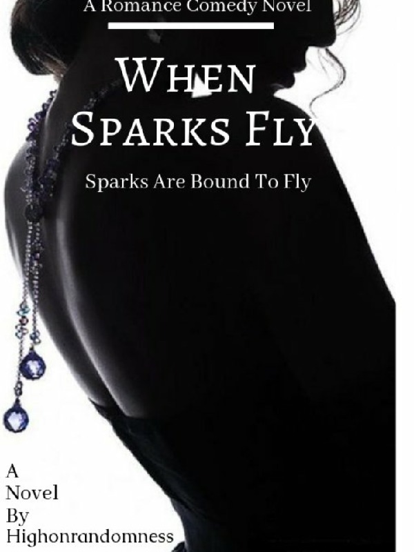 When Sparks fly... Book