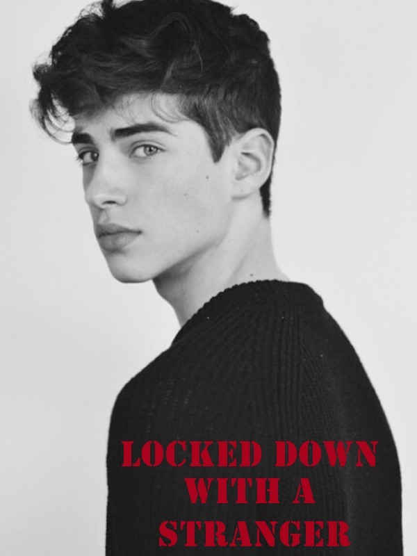 Locked down with a Stranger Book