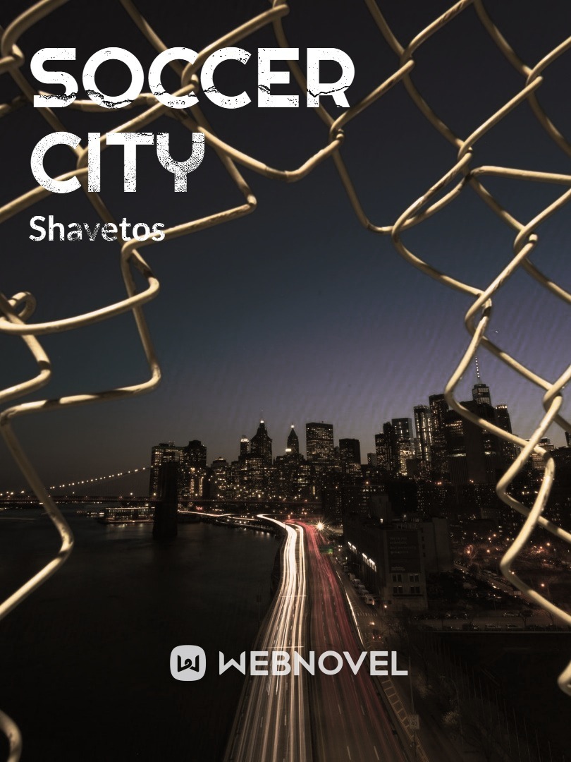 Soccer city Book