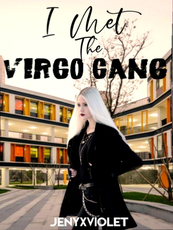 I Met The VIRGO GANG Book