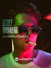 Secret Boyfriend Book