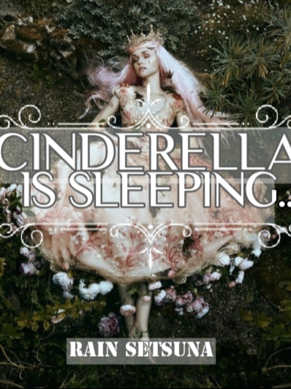 Cinderella is Sleeping Book