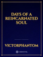 Days Of A Reincarnated Soul Book