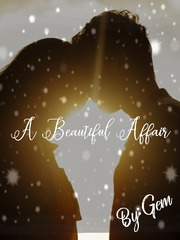 A Beautiful Affair Book