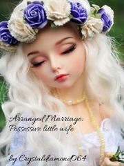 Arranged Marriage:Possessive little wife Book