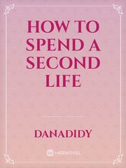 How to spend a second life Book