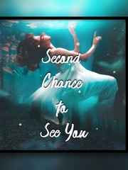 Second Chance To See You Book