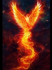 The Phoenix Book