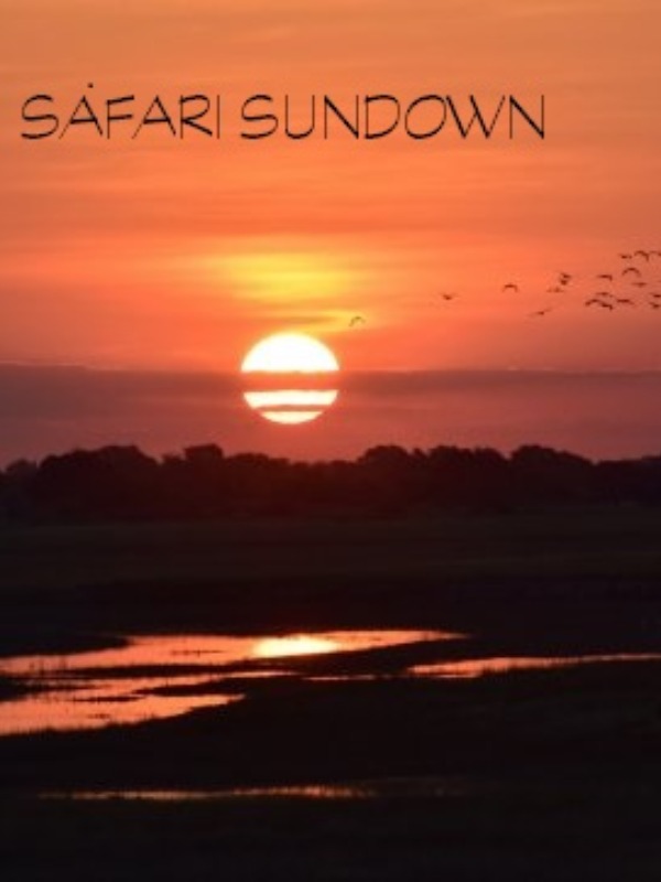 Safari Sundown Book