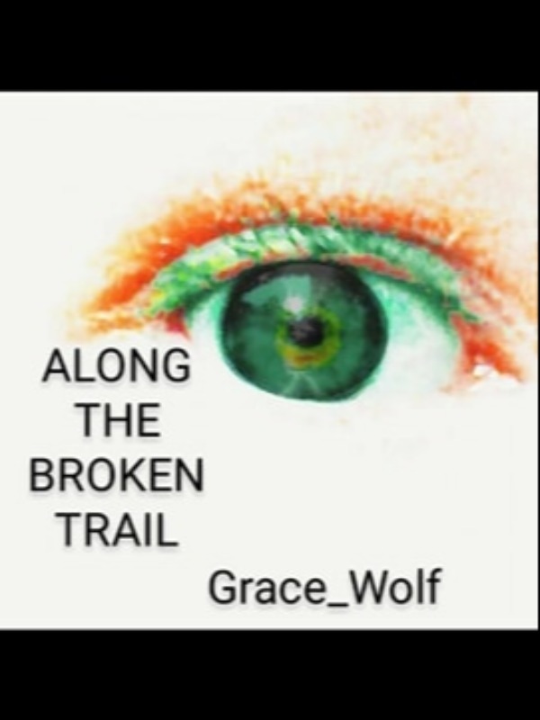 Along The Broken Trail Book