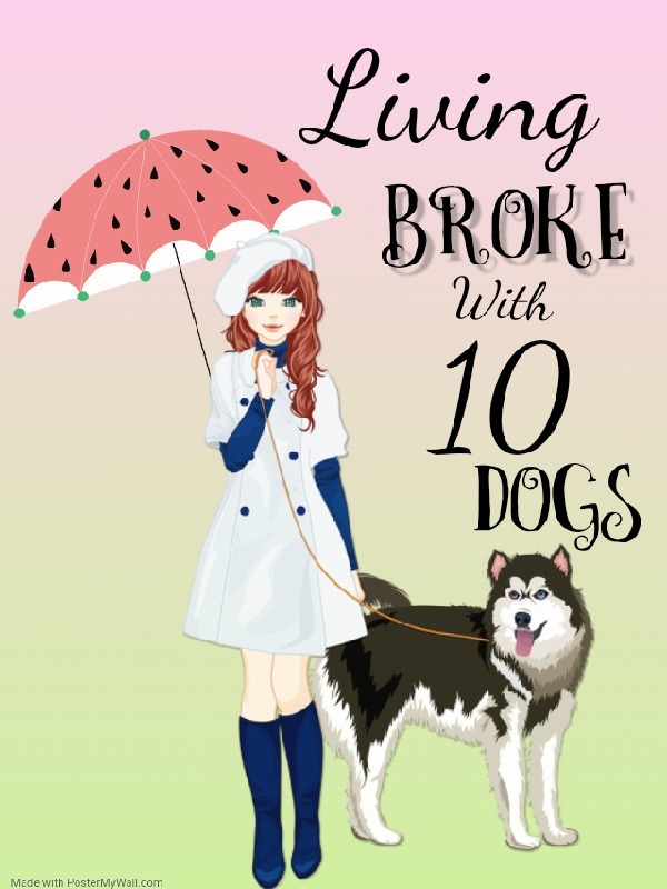 Living Broke with 10 Dogs Book