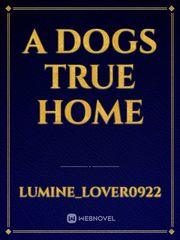 A dogs true home Book