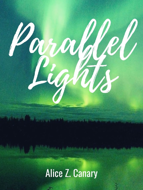 Parallel Lights Book