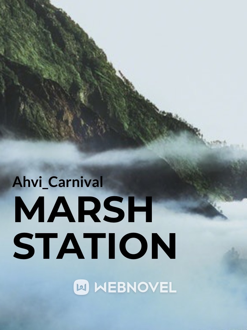 Marsh Station Book
