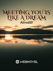 Meeting You is Like a Dream (BL) Book