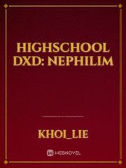 Highschool DxD: Nephilim Book