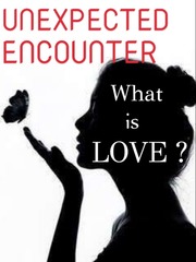 Unexpected encounter: what is love? Book