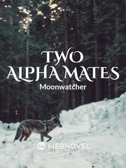 Two Alpha mates Book