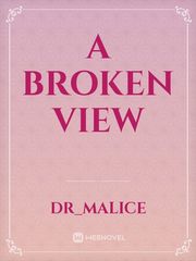 A Broken View Book