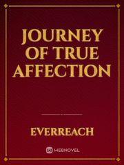 Journey of True Affection Book