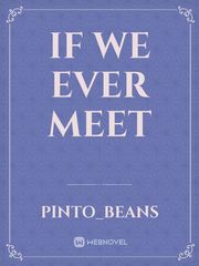 If We Ever Meet Book