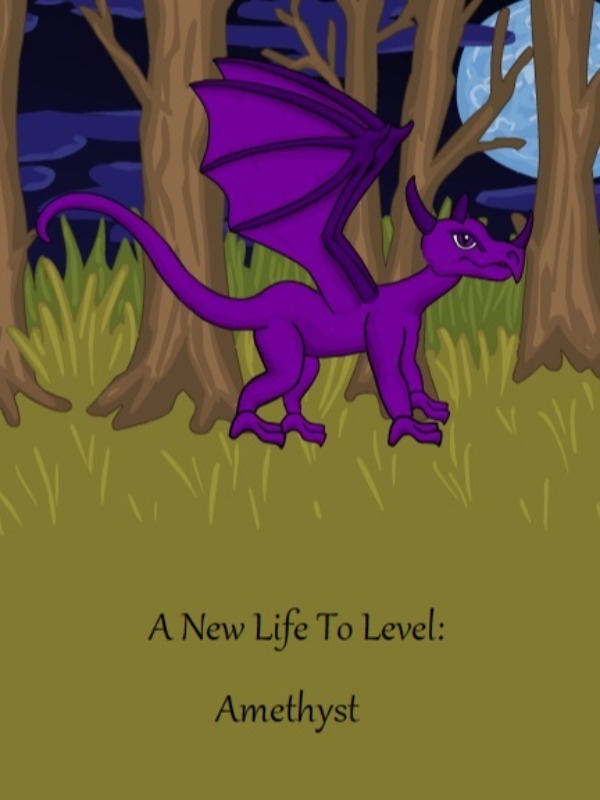 A New Life To Level: Amethyst Book