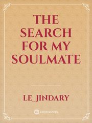 The Search for My Soulmate Book