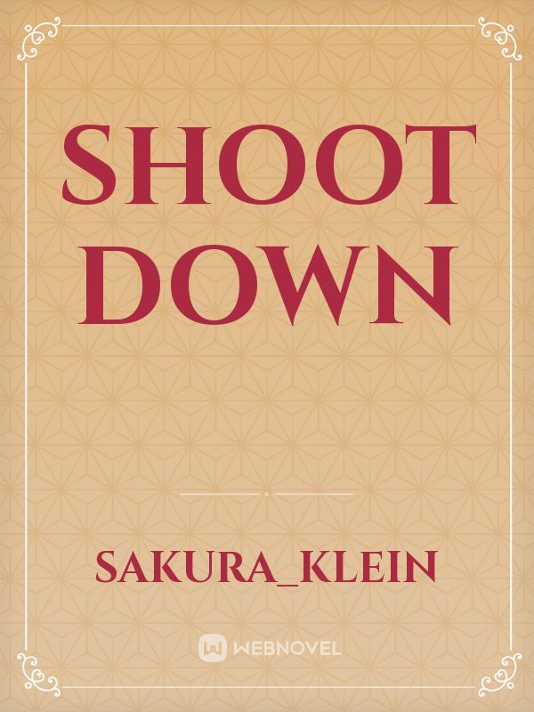 Shoot Down Book