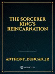 The Sorcerer King’s Reincarnation Book