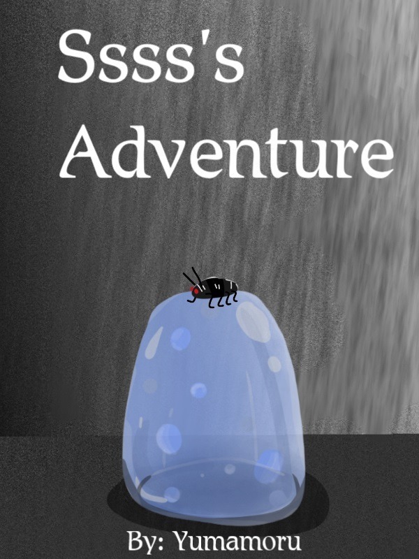 Ssss's Adventure Book