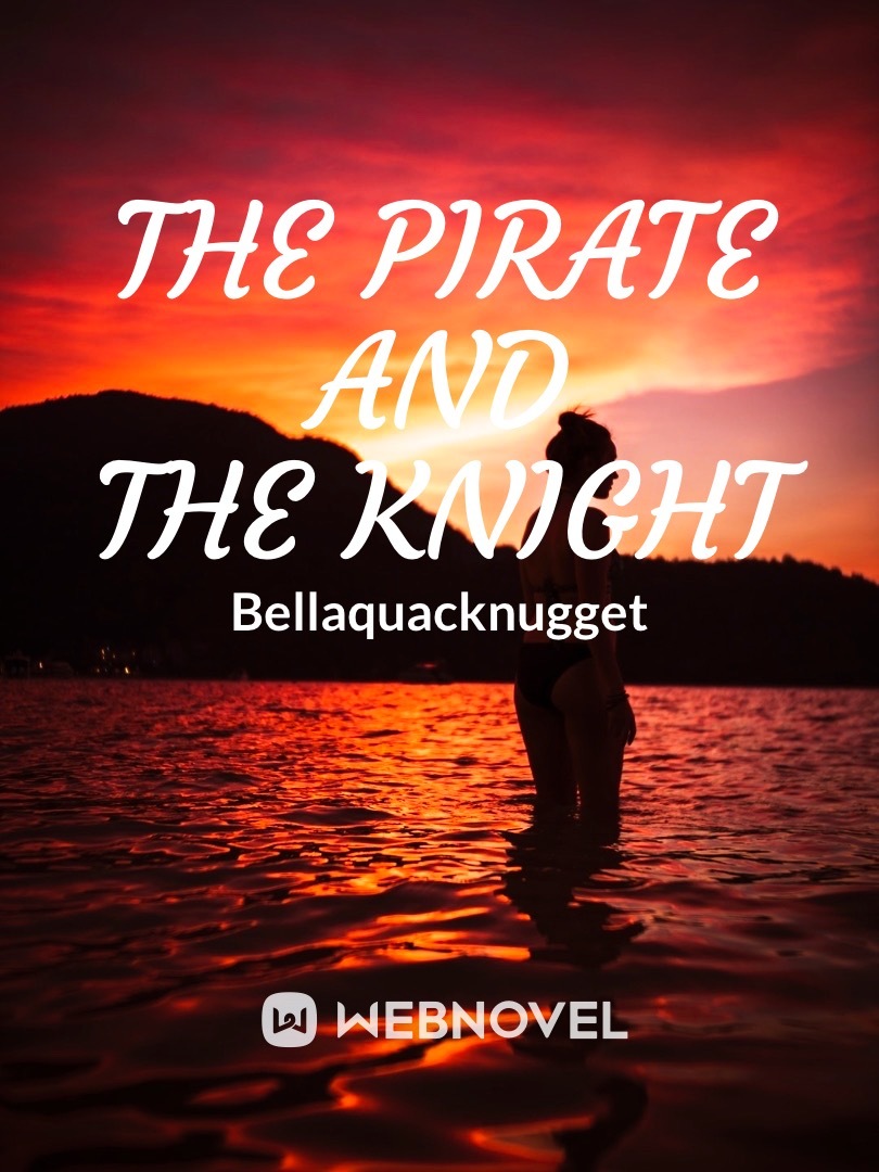 The Pirate and the Knight Book