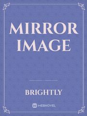 Mirror Image Book