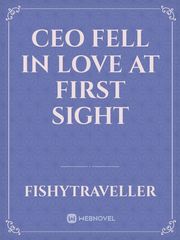CEO fell in love at first sight Book