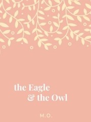 The Eagle and the Owl Book