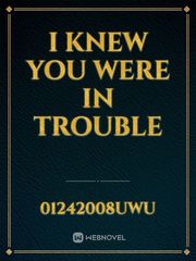 i knew you were in trouble Book