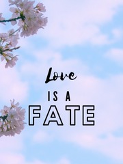 Love is a fate Book