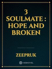 3 Soulmate : Hope And broken Book