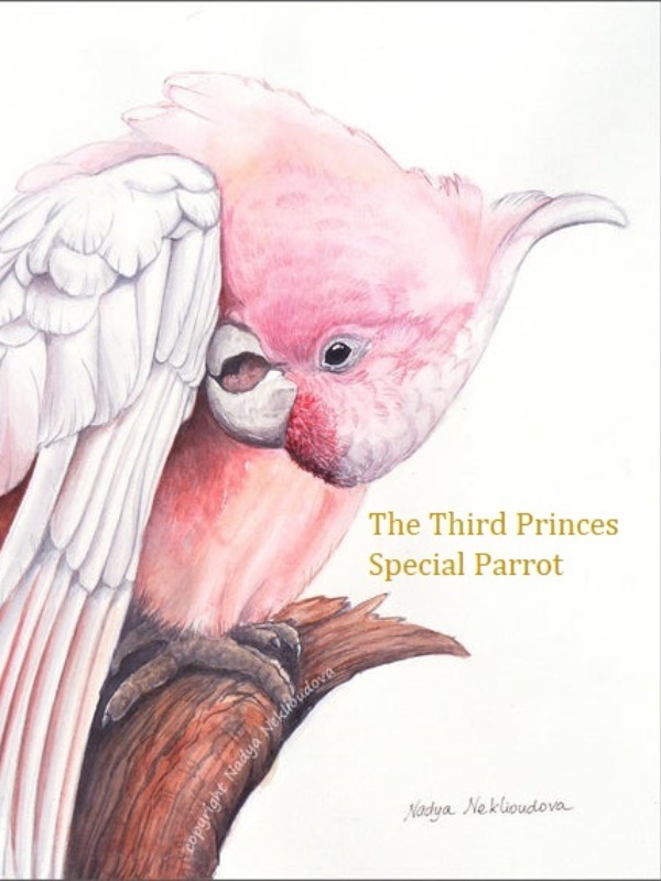 Third Prince's Special Parrot Book