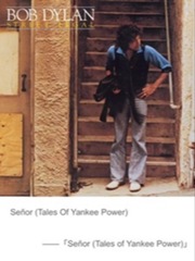 Senor (Tales Of Yankee Power) Book