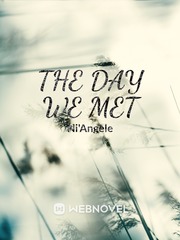 The Day We Met Book