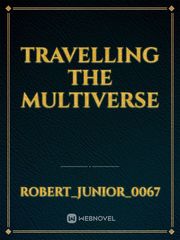 Travelling The Multiverse Book