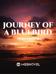Journey of a Bluebird Book
