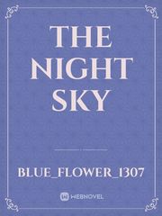 The Night Sky Book