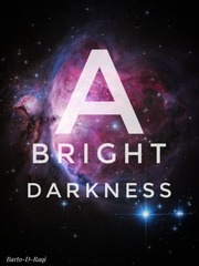 A Bright Darkness Book