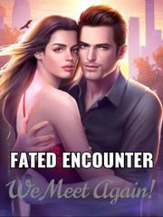 Fated Encounter: We Meet Again Book