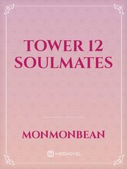 Tower 12 Soulmates Book