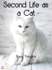 Second Life as a Cat Book