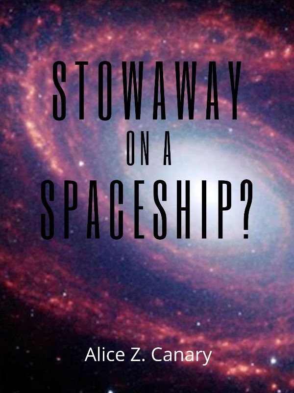 Stowaway on a Spaceship? Book