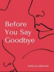 Before You Say-Goobye Book
